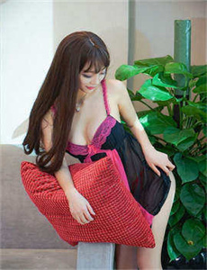 女总裁的贴身高手 电视剧