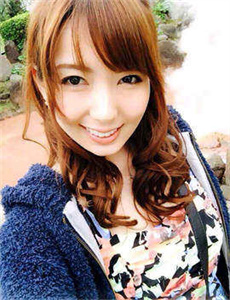新杨门女将电视剧